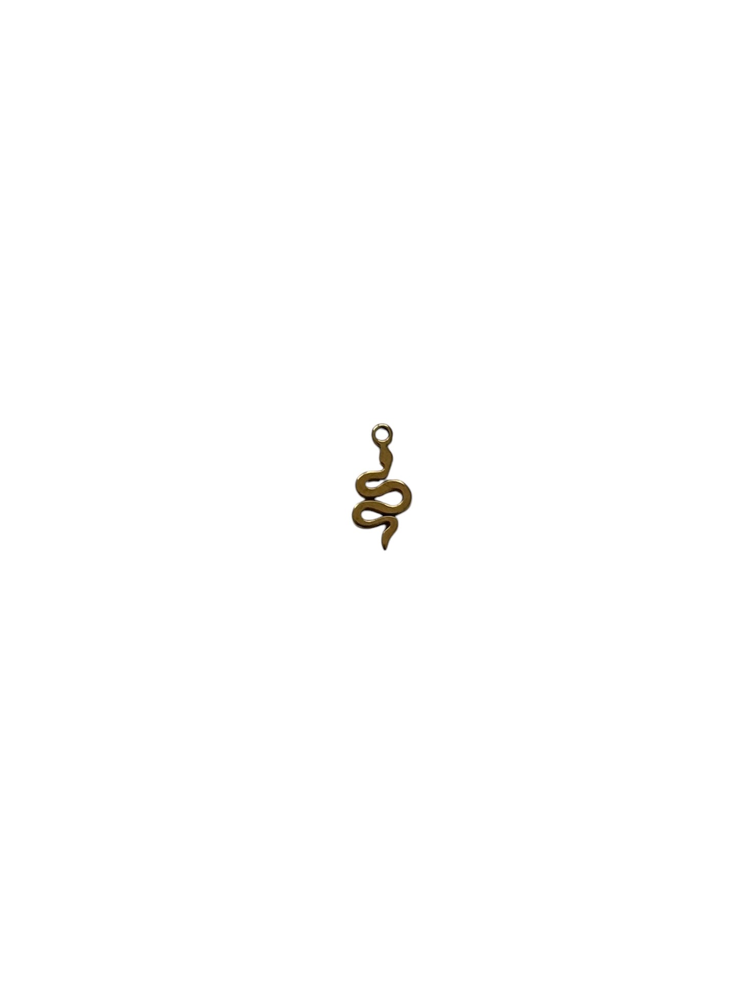 Tiny Snake Charm