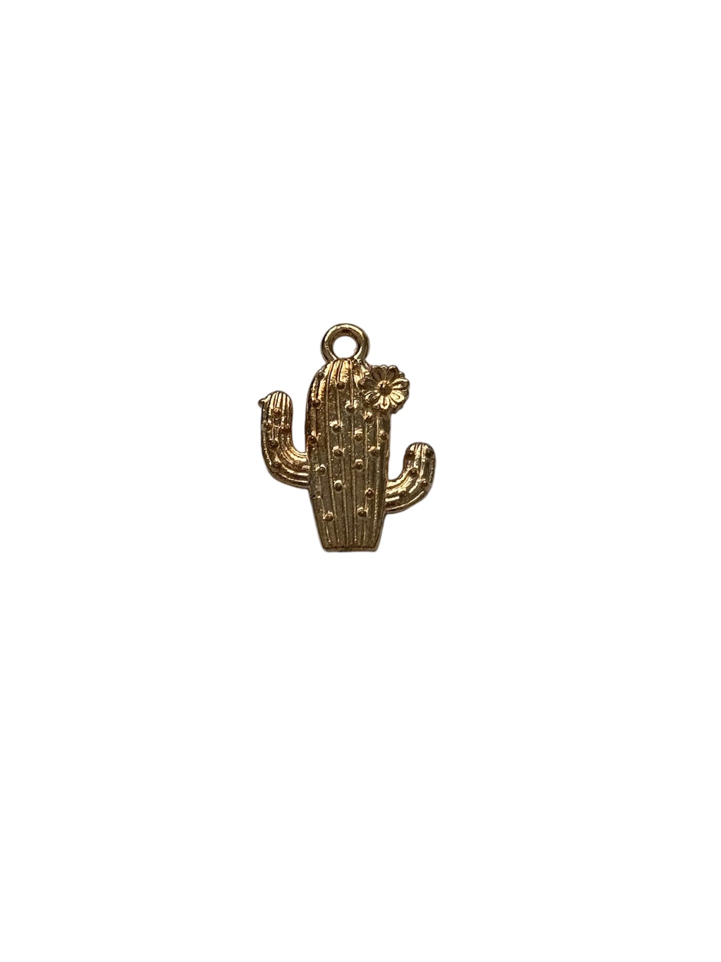 Cactus Charm