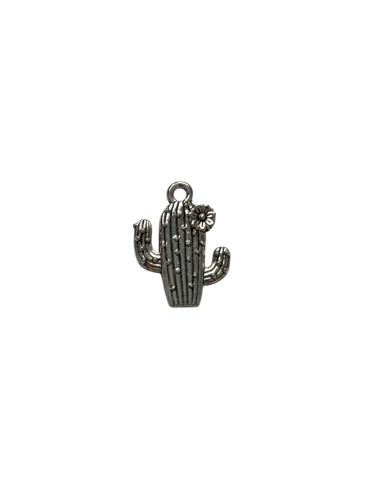 Cactus Charm