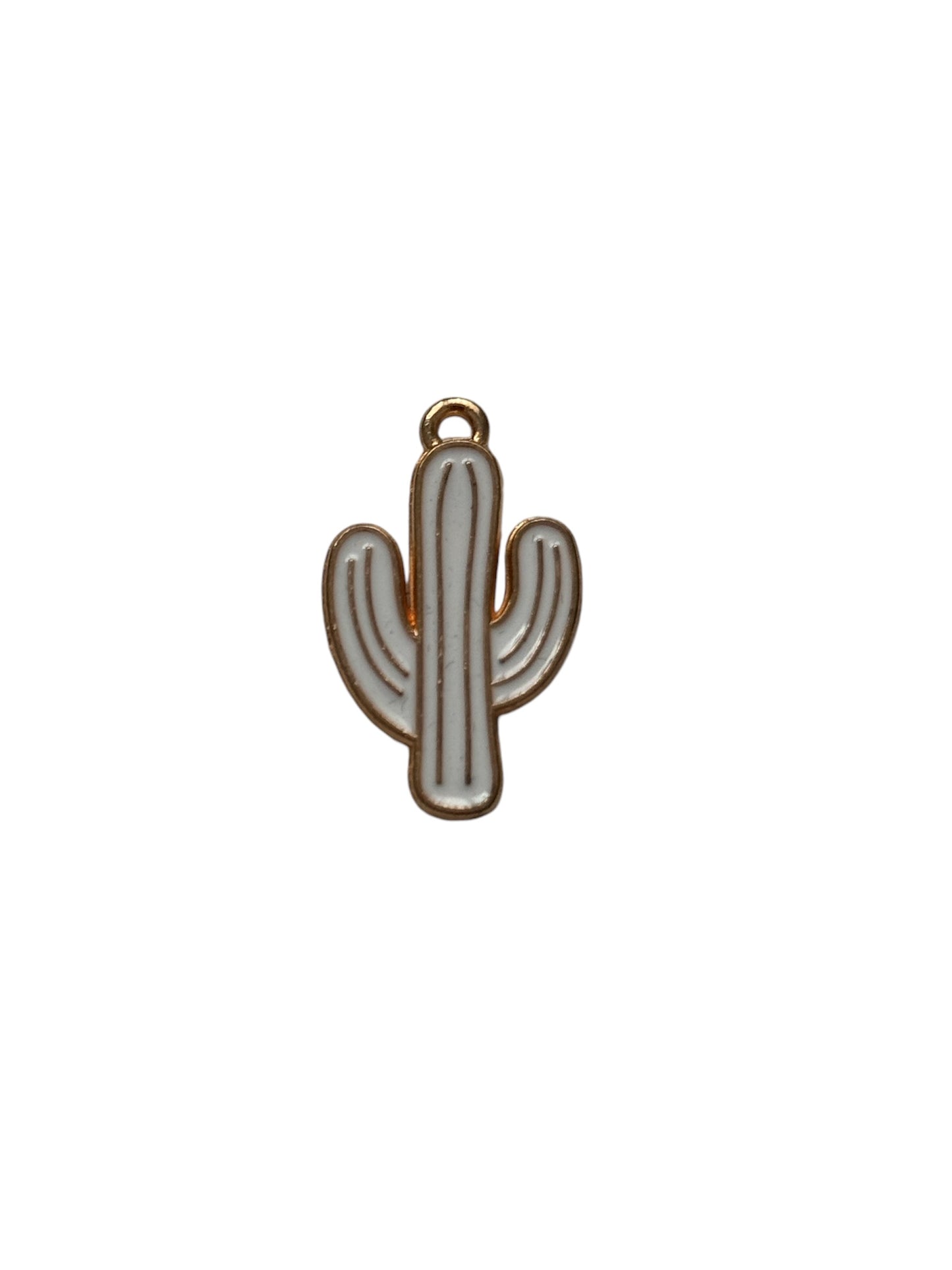 Colorful Cactus Charm