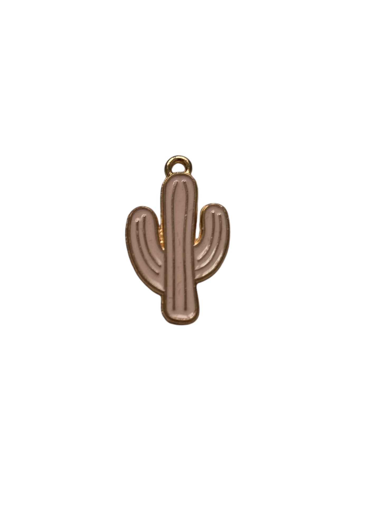 Colorful Cactus Charm