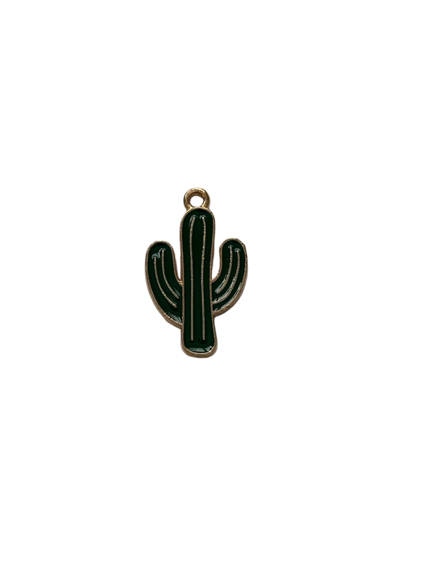 Colorful Cactus Charm