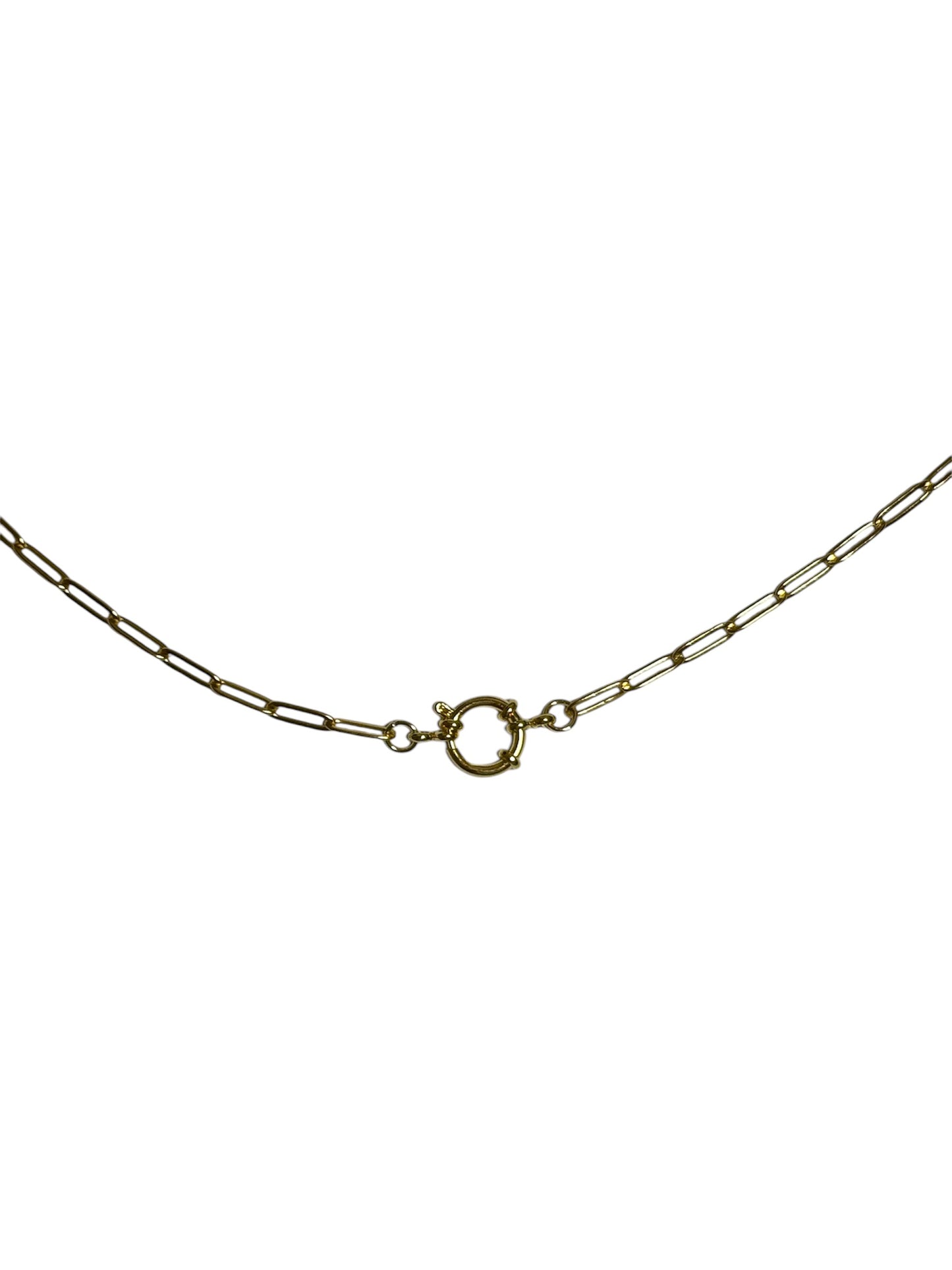 Gold Paperclip Chain with Circle Caribiner